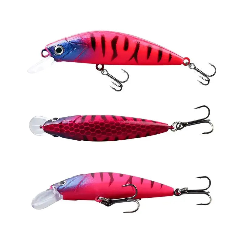 Kit Isca de Pesca