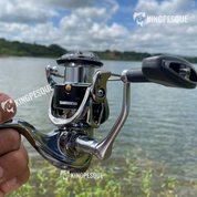 Moliente Shimano