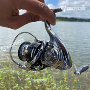 Moliente Shimano