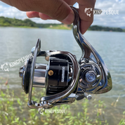 Moliente Shimano