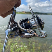 Moliente Shimano