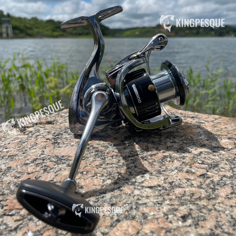 Moliente Shimano