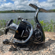 Moliente Shimano