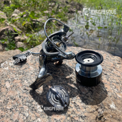 Moliente Shimano