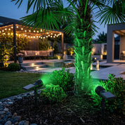 Luminarias solares de jardim instaladas na grama iluminando palmeira e plantas ornamentais a noite com luz verde decorativa.