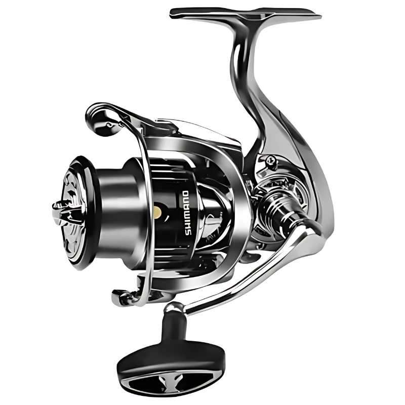 Moliente Shimano