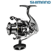 Moliente Shimano