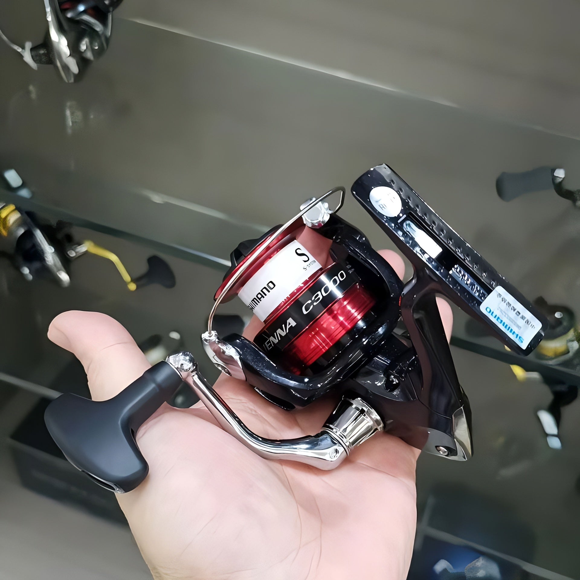 Molinete shimano - Kingpesque